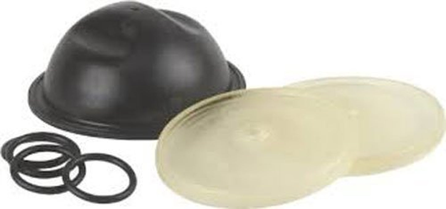 Spraying Devices 9910-KIT1725 Repair Kit