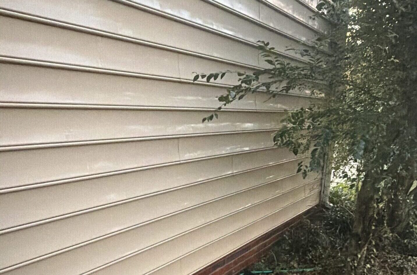 siding shows signs 1